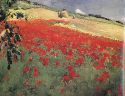 William blair bruce Landscape with Poppies (nn02) Spain oil painting art